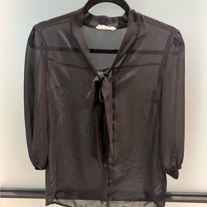 Elegant Sheer Black Blouse with Tie Detail